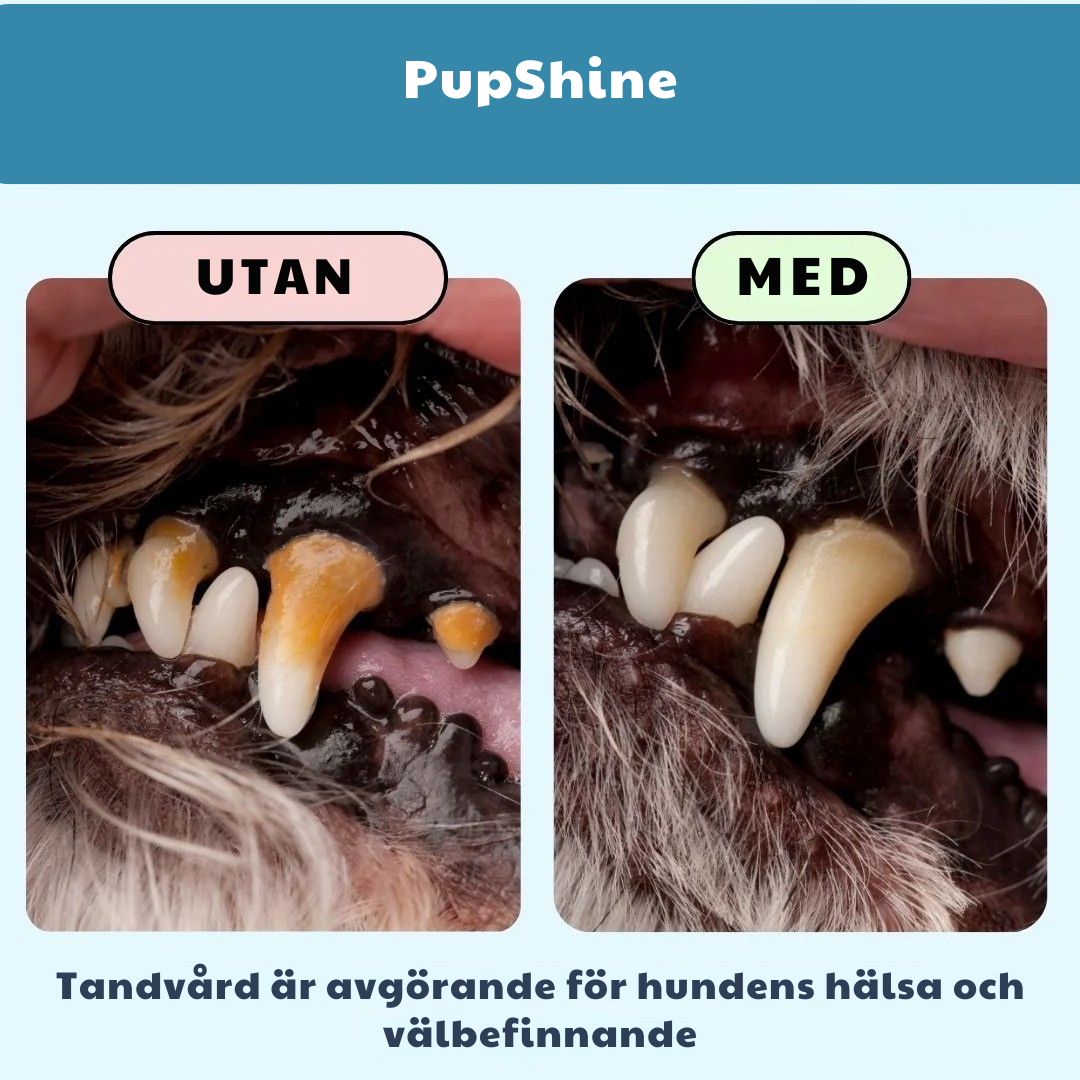 PupShine-Den enkla vägen till friskare hundtänder