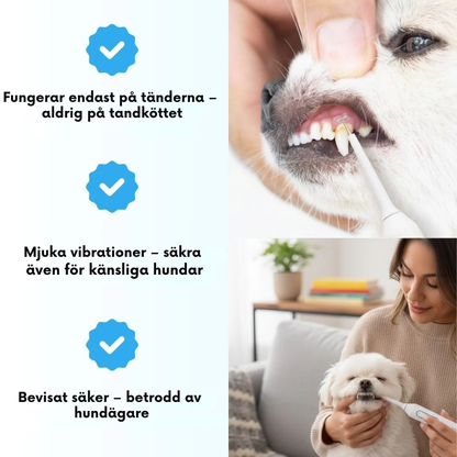 PupShine-Den enkla vägen till friskare hundtänder