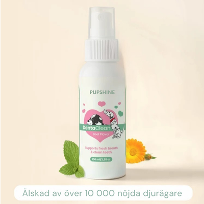 Pupshine- Fräschare andedräkt. Gladare pussar.