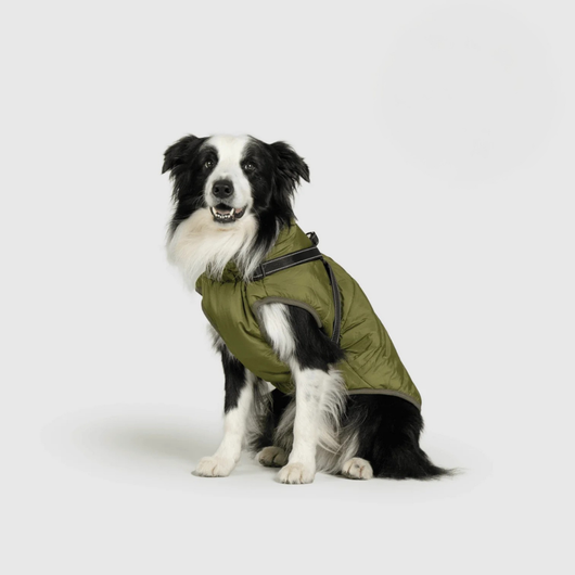 Pupshine- Inget väder stoppar era promenader