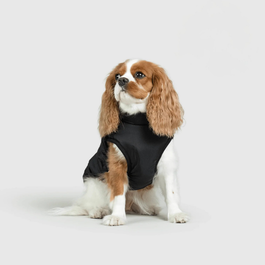 Pupshine- Inget väder stoppar era promenader