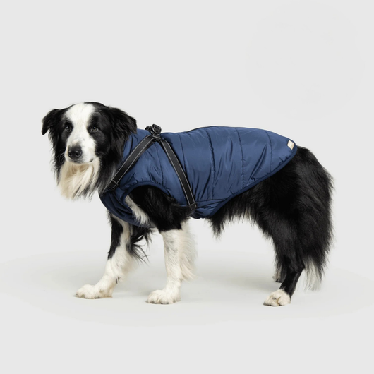 Pupshine- Inget väder stoppar era promenader