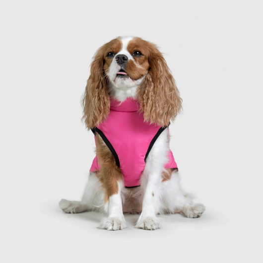 Pupshine- Inget väder stoppar era promenader