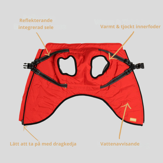 Pupshine- Inget väder stoppar era promenader