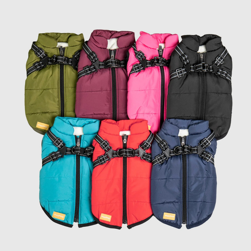 Pupshine- Inget väder stoppar era promenader
